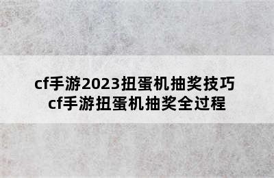 cf手游2023扭蛋机抽奖技巧 cf手游扭蛋机抽奖全过程